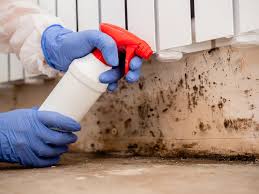 Best Mold Remediation for Rental Properties  in Simmesport, LA